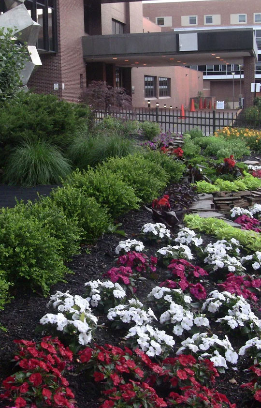 Commercial Landscaping Service Dallas Fort Worth