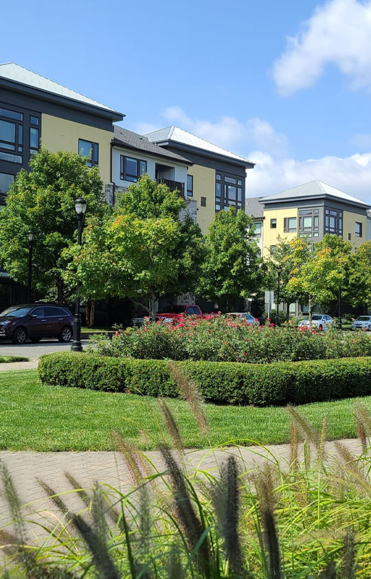 The GreenCare Company Commercial Landscaping Services