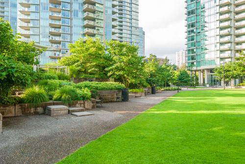 Apartment Landscaping Dallas Curb Appeal