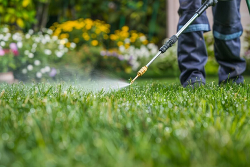 Lawn Care Service Denton Texas Lawn Pest Control