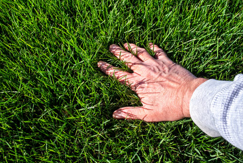 Commercial-Landscaping-Maintenance-Dalls-Fort-Worth-Resource-Management Commercial Landscaping Maintenance Dallas Fort Worth