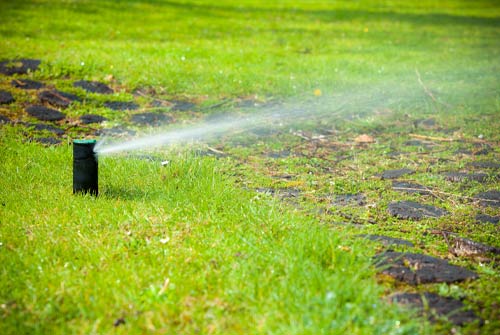 Sustainable Landscaping Solutions Water Management for Landscaping Dallas
