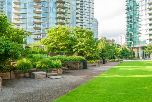 HOA-Landscaping-Contractor-DFW-Reduced-Maintenance-on-Green-Gras-Justin-Texas HOA Landscaping Contractor DFW Reduced Maintenance Grass next to sidewalk Justin Texas