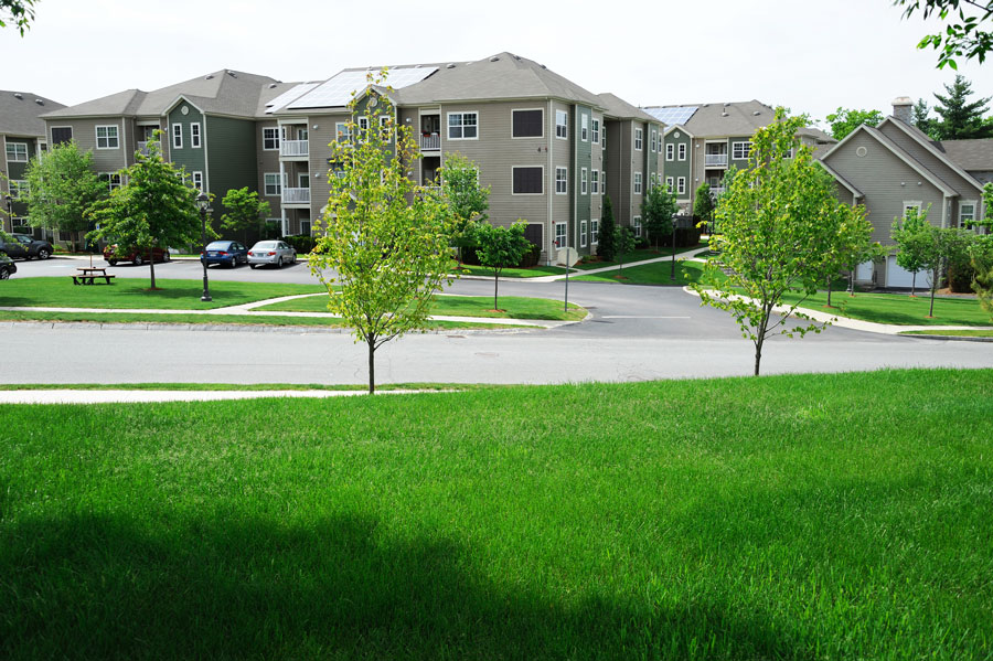 Commercial Landscaping Frisco Texas Lawn Care of Apartment Complex
