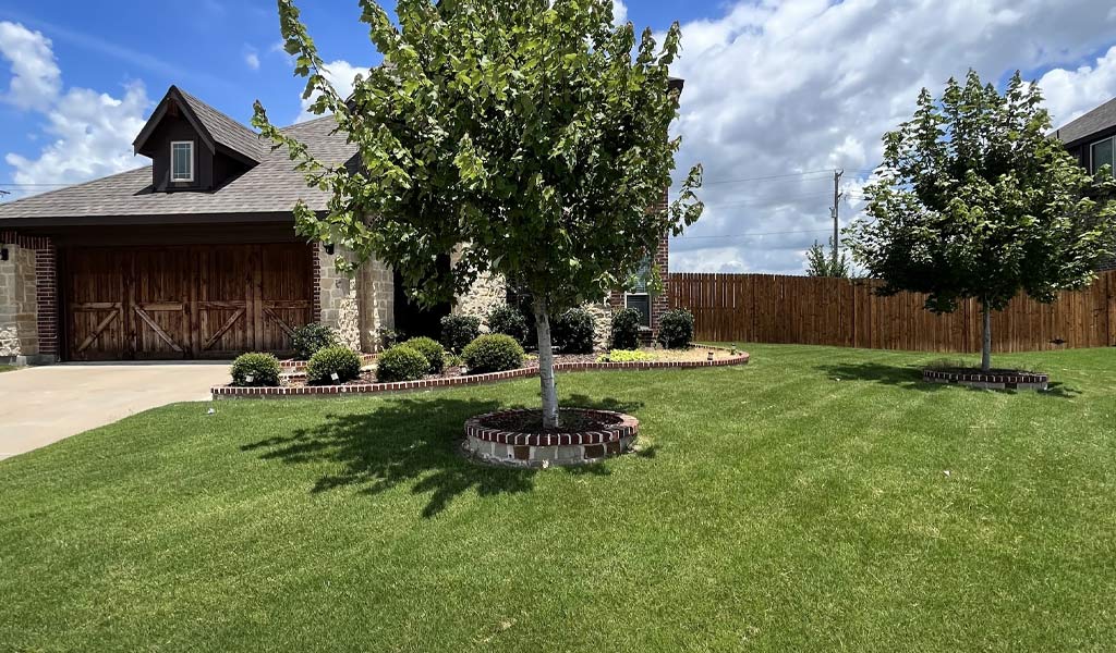 Lawn Care Justin Texas Local Lawn Service The GreenCare Company