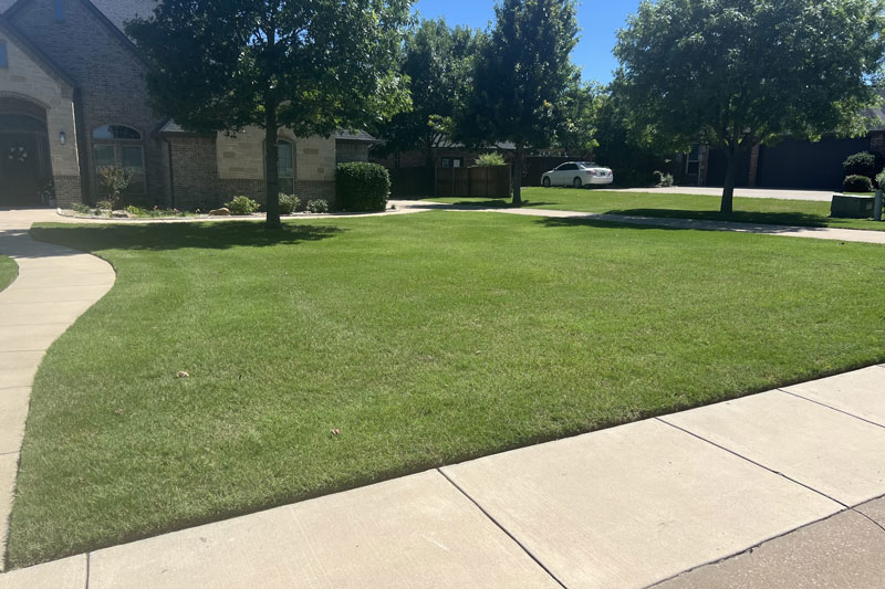Lawn Care Justin Texas The GreenCare Company Justin Texas Lawn